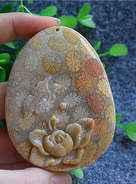 【珍藏】天然珊瑚玉大彩花色玉化珊瑚玉菊花玉蝶恋花 彩色珊瑚玉