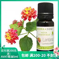 马樱丹 新人首单立减十元 21年7月 淘宝海外