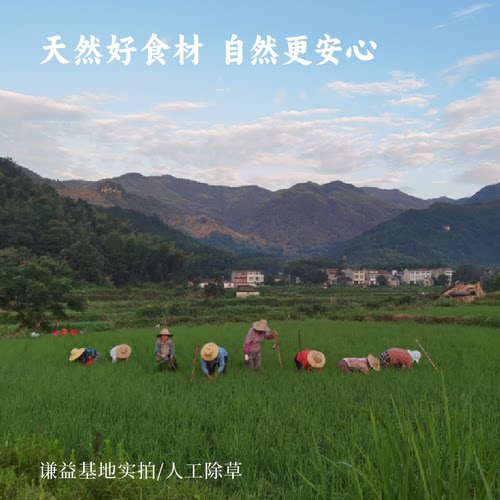 简箪纯粮麦芽糖生态原粮拉丝糖手工搅搅糖饴糖儿时味道谦益农业 - 图2