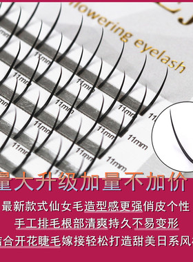 仙女朵毛单簇嫁接睫毛漫画款睫毛