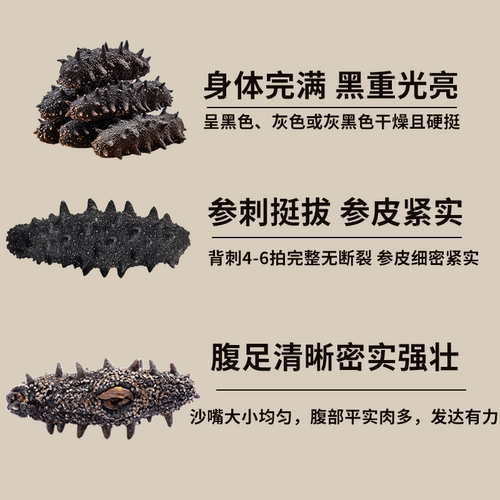 【有机食品】颐参严选大连淡干海参200g 辽参刺参 顺丰发礼盒 - 图0