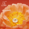 CIGALONG peony petal ring