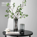 Nordic Light Luxury Gold Edge Glass Transparent Pright Tube Vase Swing Flow