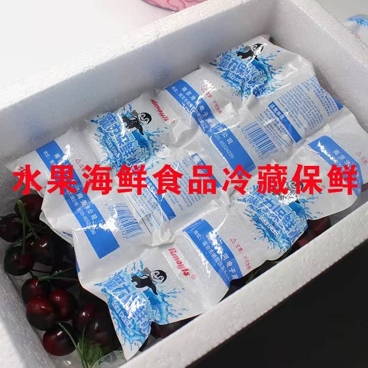 amoyls 魔力科技航空冰袋海鲜水果食品医药保鲜冷藏干冰袋 包邮 - 图0