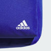Adidas backpacks for boys and girls