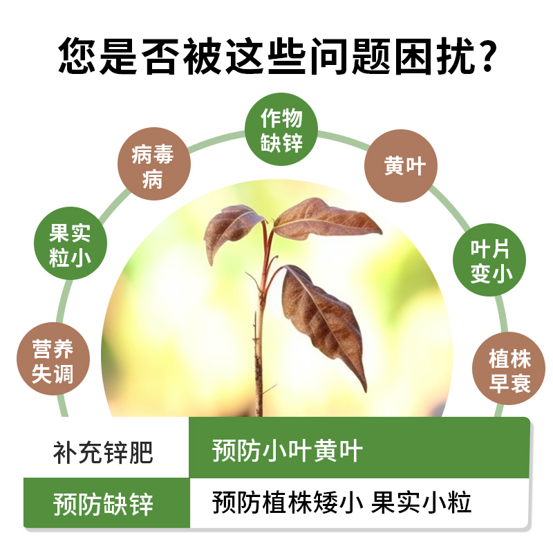 螯合锌肥EDTA可溶水粉末1kg25kg包邮银海化工花卉蔬菜果树 - 图2