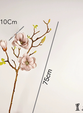 仿真玉兰花艺假花室内家居装饰花瓶插花摄影道具新款