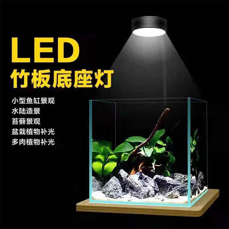 苔玉盆景 新人首单立减十元 22年7月 淘宝海外 苔玉盆景 新人首单立减十元 22年7月 淘宝海外
