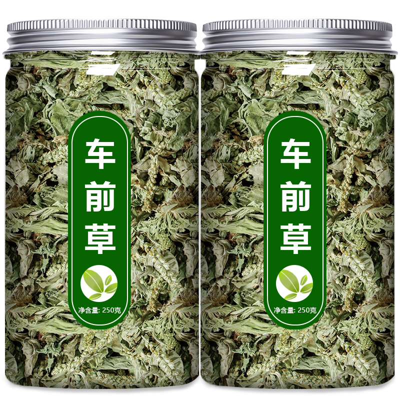 车前草野生新鲜中草药正品干货中药材粉袋泡茶泡水喝的功效与作用 - 图3