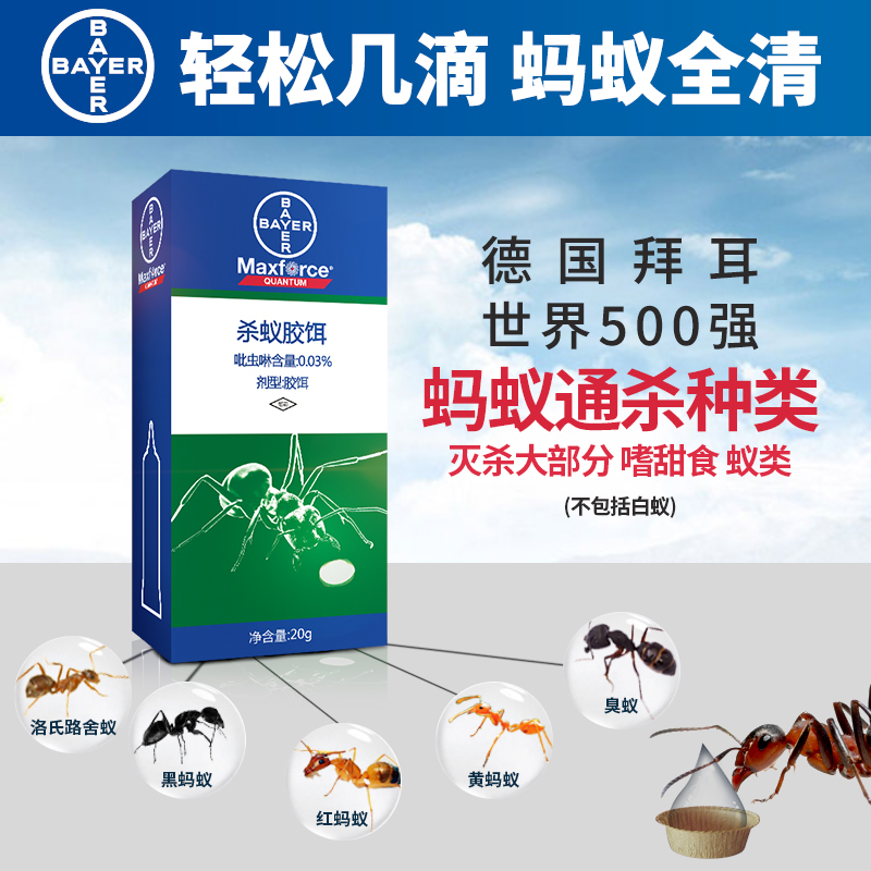 德国拜耳拜灭易20g进口蚂蚁药连环灭杀除蚂蚁神器家用灭蚁粉厨房 - 图0