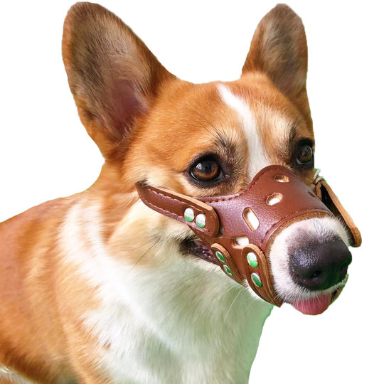 Pet supplies dog muzzle anti-bite corgi mask
