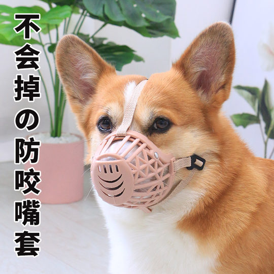 Pet dog corgi teddy muzzle to prevent eating and biting
