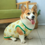 Тонкий летний жилет, осенний шнурок-держатель, популярно в интернете