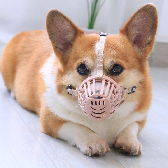 Pet dog corgi teddy muzzle to prevent eating and biting