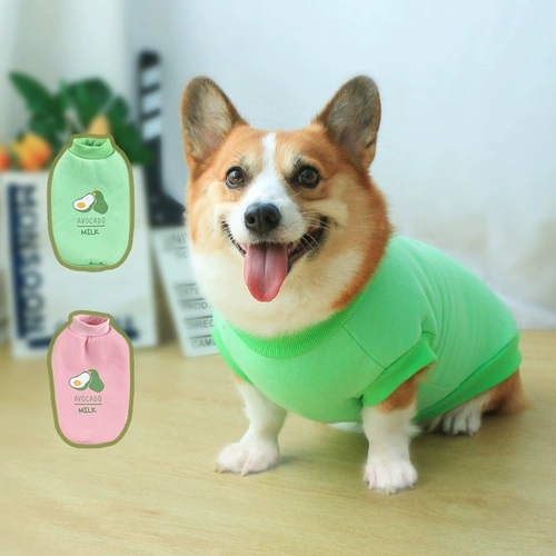 Демисезонный осенний пуховик, милое фруктовое масло, зимняя толстовка, осенний сезон