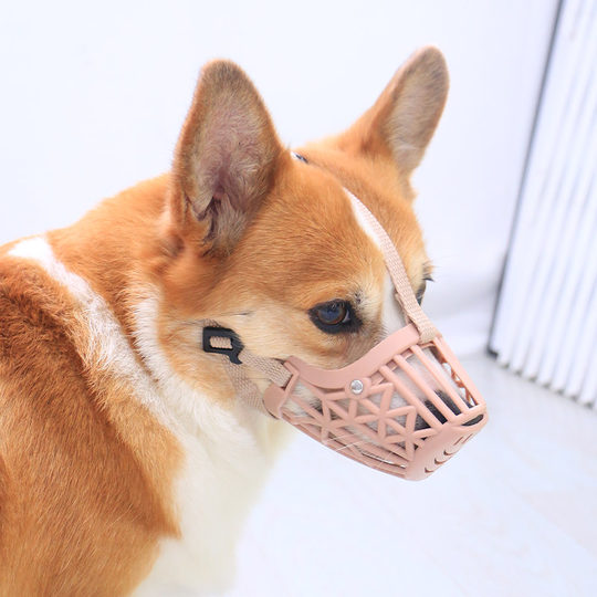 Pet dog corgi teddy muzzle to prevent eating and biting