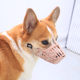 Pet dog corgi teddy muzzle to prevent eating and biting