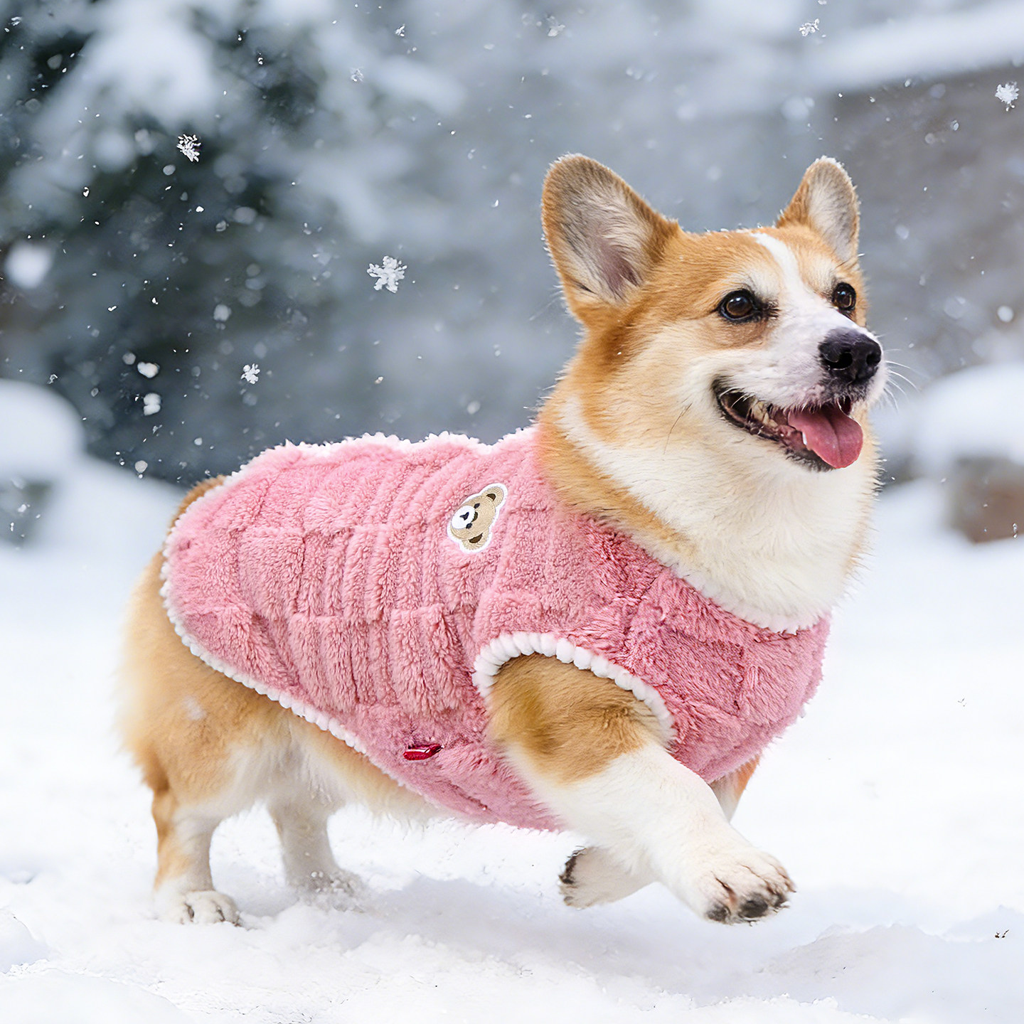 宠物狗狗衣服秋冬款马甲背心加厚保暖冬季柯基泰迪柴犬中型犬睡衣,淘宝优惠券,粉丝福利购,淘宝优惠卷