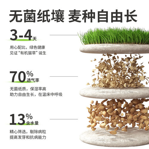 猫草盆栽小麦种子土培懒人种植猫薄荷成猫幼猫去毛球化毛猫咪洁齿 - 图0