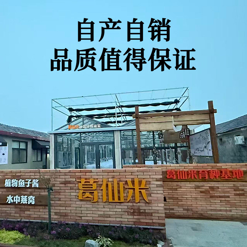 葛仙米干货特色美食湖北恩施特产葛鲜米新货高档食材食品颗粒均匀,淘宝优惠券,粉丝福利购,淘宝优惠卷