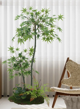 仿真绿枫假树室内植物装饰