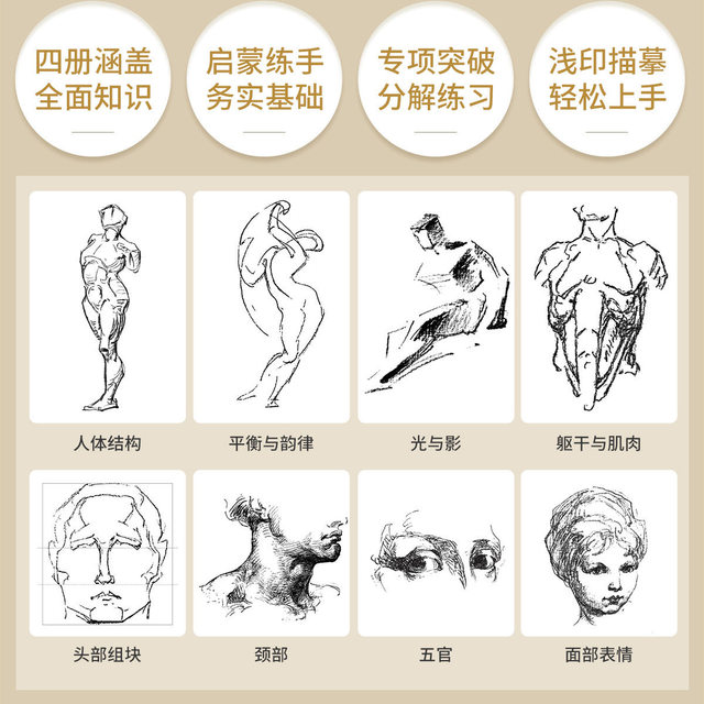 Berryman human body 4-book set, structural teaching copy book, painting character sketch copy book, art picture book teaching material, zero-based exercises for trunk and limb dynamics