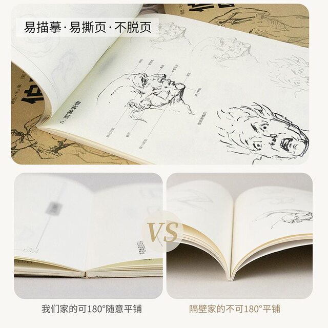 Berryman human body 4-book set, structural teaching copy book, painting character sketch copy book, art picture book teaching material, zero-based exercises for trunk and limb dynamics