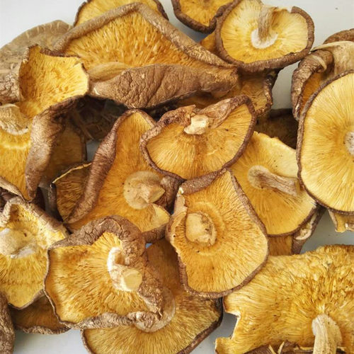 向老伯大片香菇500g 干货碎香菇碎片菇食用菌子冬菇商用煲汤食材 - 图1
