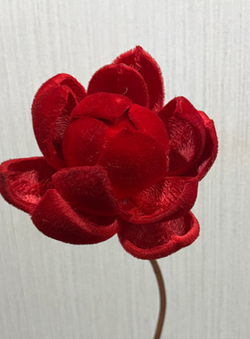 高品质毛绒质感不用养水稀有植物进口绒莲花果壳干花永生花