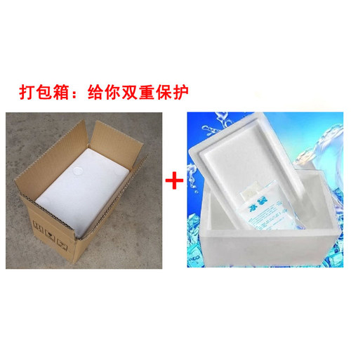 鲜活东北长白山蝲蛄 大头虾 淡水龙虾 东北黑螯 500g 2份包邮顺丰 - 图2
