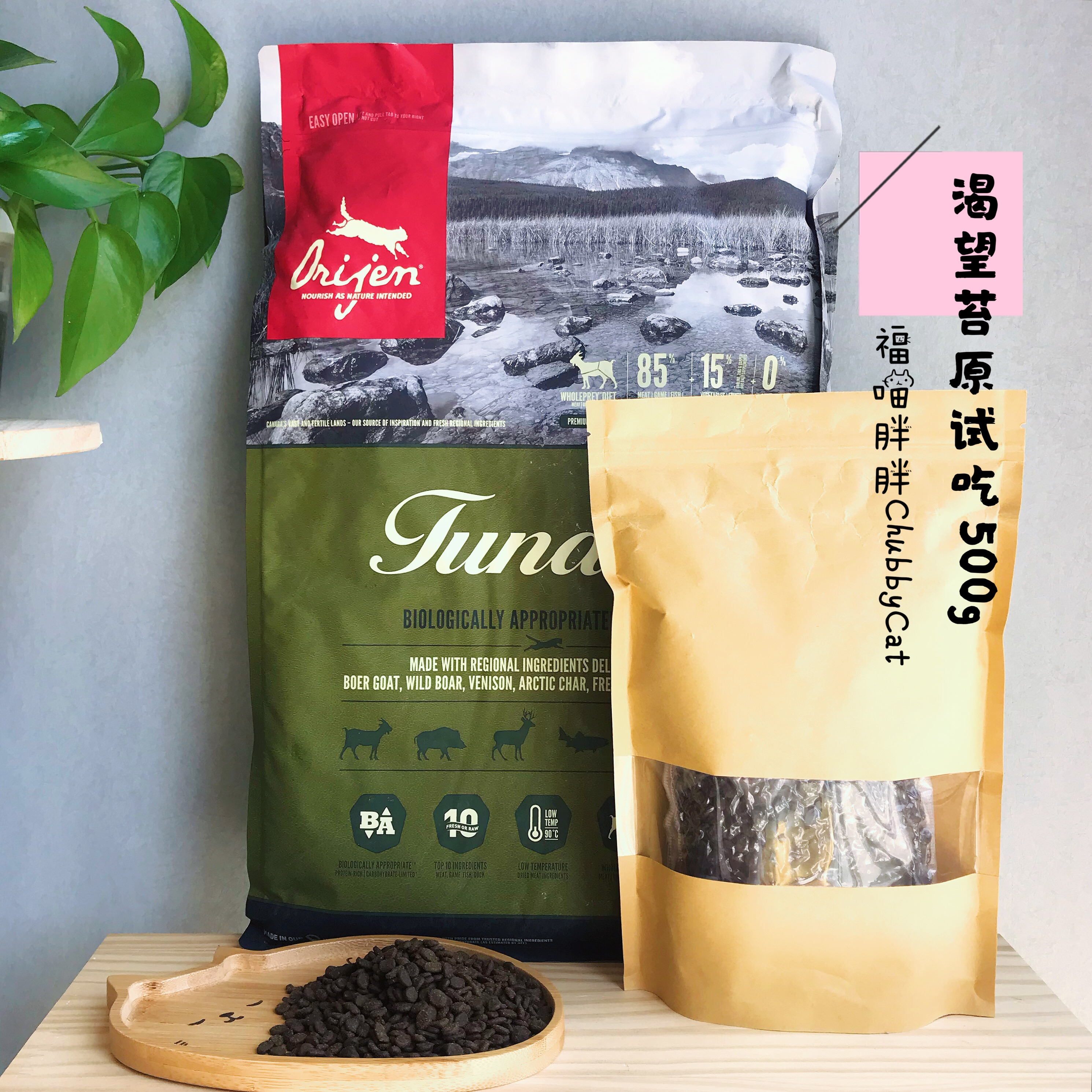 orijen渴望猫粮鸡肉六种鱼红肉苔原加拿大进口真空装试吃250g500g - 图3