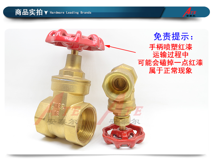 盾运全铜闸阀4分6分自来水管总阀表前开关阀门dn15 20 2532DN5040 - 图1