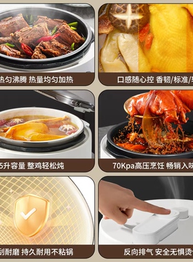 洛贝阿迪锅电压力锅5升智能电高压锅正品3-5人大容量家用多功能煲