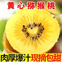 Sichuan Phujiang Yellow Heart Exotic Fruit Fresh Chic Exotic Fruit When Season Pregnant Woman Fruit Mass Mud Monkey Peach Big Fruit Whole Box
