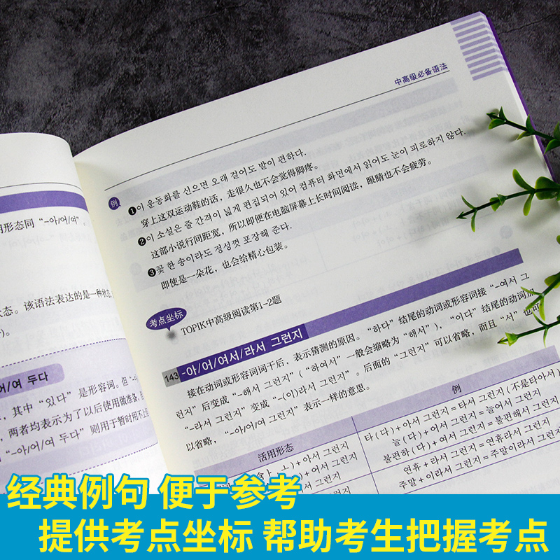 现货金龙一topik韩语语法完全掌握新韩国语能力考试topik语法初级中高级语法韩语topik语法标准教程韩国语语法大全可搭词汇 智文图书专营店