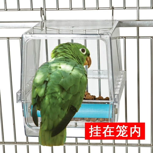 Caitec American Face -fice -Fasting Paramel Ant -Sprinke Box
