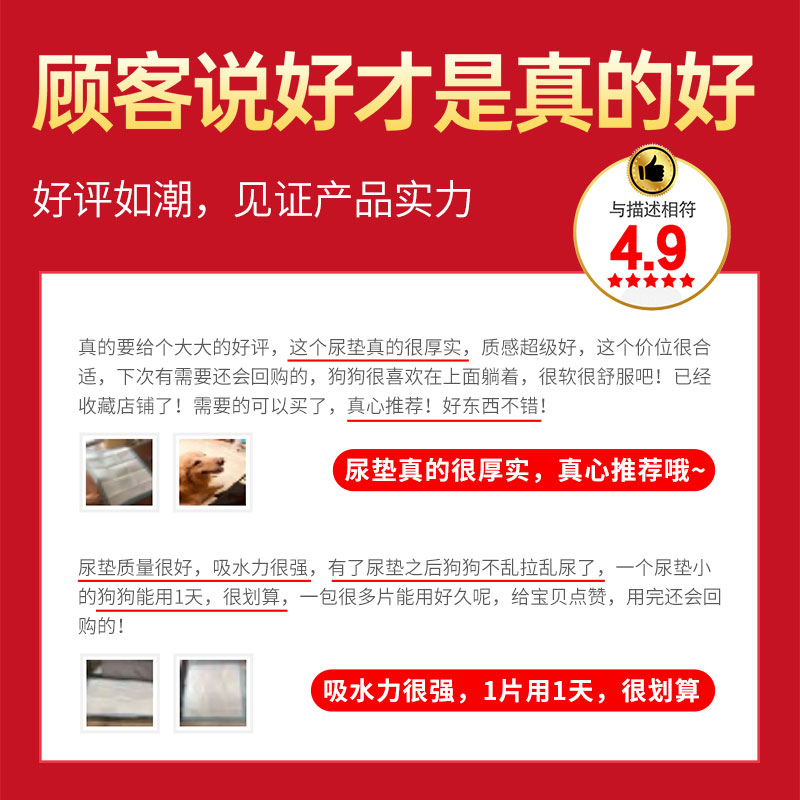 宠物尿垫狗狗用品加厚除臭吸水垫尿片泰迪不湿大号猫咪批发诱导布 - 图2