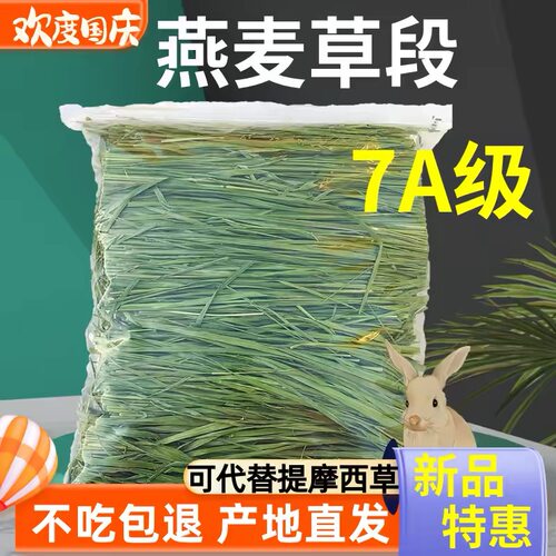26年烘干无穗燕麦草段兔子专用干草纤维荷兰猪龙猫豚鼠兔粮干草 - 图1