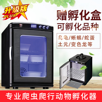 Small Turtle Egg Automatic Hatching Machine Reptile Animal Incubators Lizard Lizard Hatchery Small Fridge Thermostatic Fermentation Tank