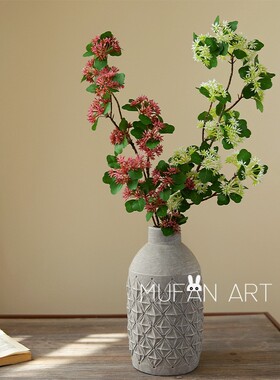 石莲果绿植摆设插花花艺