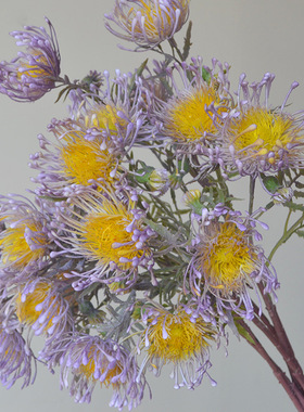 高品质蟹爪菊仿真花假花