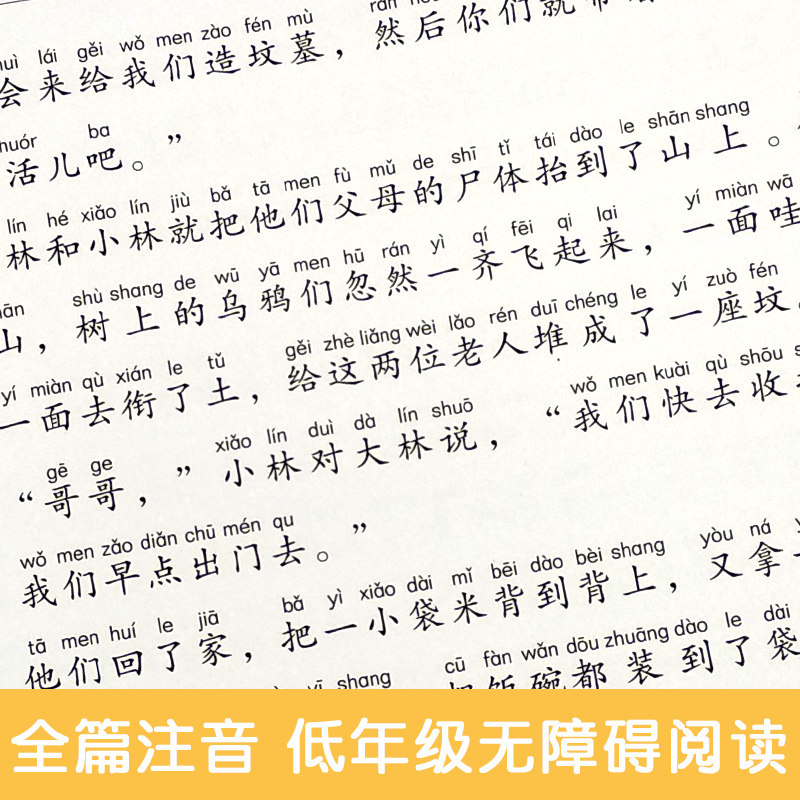 【5元专区】世界经典文学名著宝库：大林和小林（儿童彩图注音版）小学生6-12岁一二三年级课外书故事书小学生读物-图3