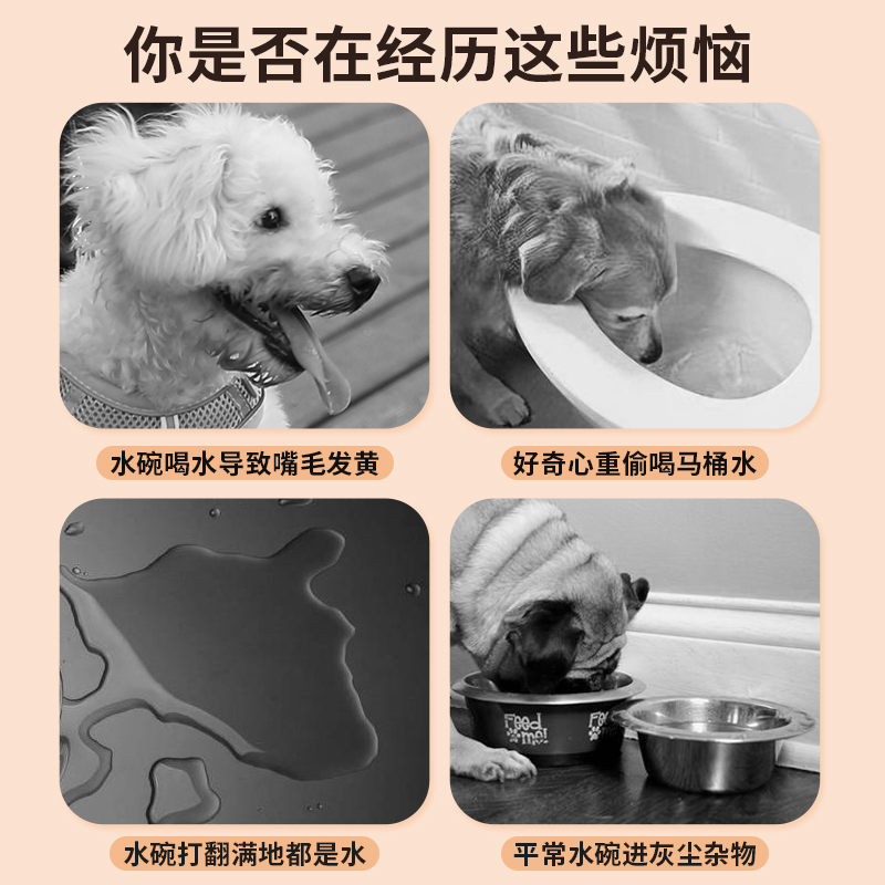 狗狗喝水器不湿嘴猫咪饮喂水器滚珠兔子宠物水壶狗笼悬挂式防打翻