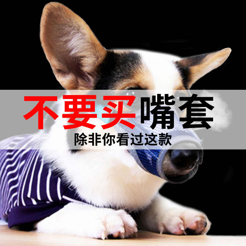 宠物犬口罩 新人首单立减十元 21年9月 淘宝海外