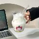 ຕົ້ນສະບັບ kitten glass jug ຈອກນ້ໍາຈອກ