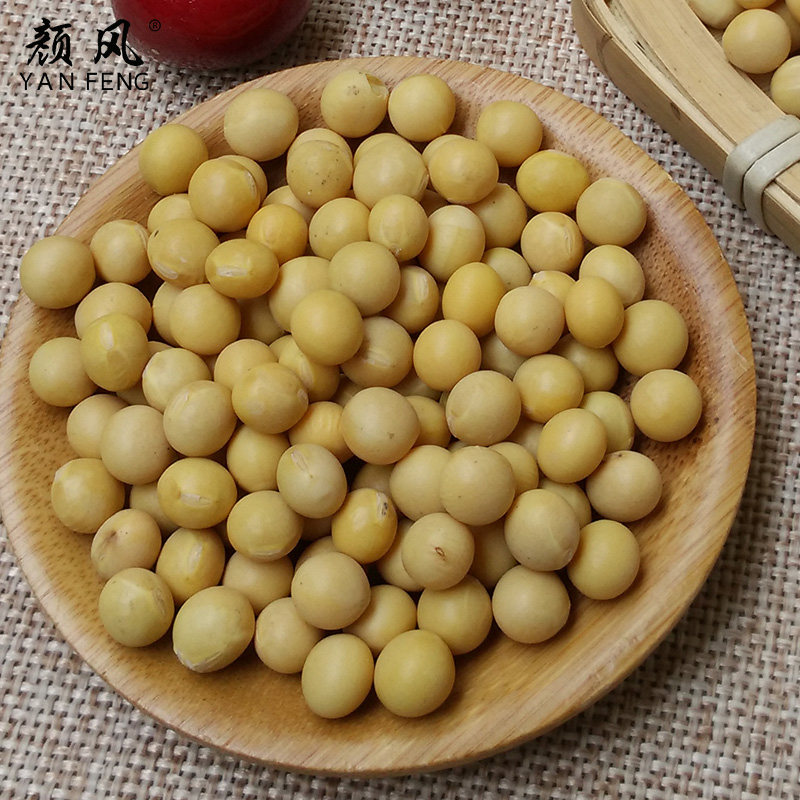 颜风黄豆农家新货东北粗粮大豆干货 颜风黄豆