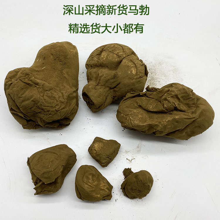 东北马勃250g马粪包新货含粉高灰菇牛屎菇马屁包菌干无硫小整枝粉 - 图1