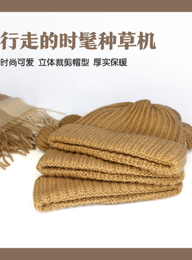 沙漠王粗针织帽驼绒帽小熊帽可爱