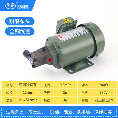 220V电动机油齿轮油泵TOP-12A机床润滑TOP-11/13A三角摆线泵电机 - 图1