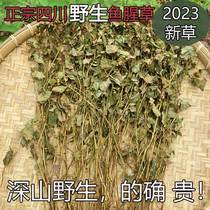 Wild Hearthouti Sichuan Special Production Folding Ear Root Dry Goods Farmhouse Pure Natural Adoptive Raw Tea Chinese Herbal Medicine Whole Plant 500 gr